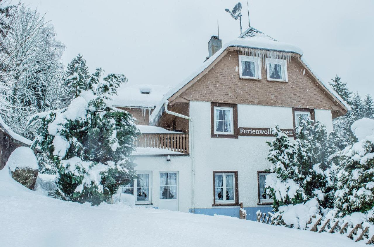 Schwarzwald Apartments Im Haus Tanneck - Feldberg - Titisee Exterior foto
